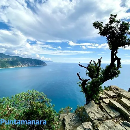 Apartamento Attico Con Terrazza Fronte Mare A Cavi Di *