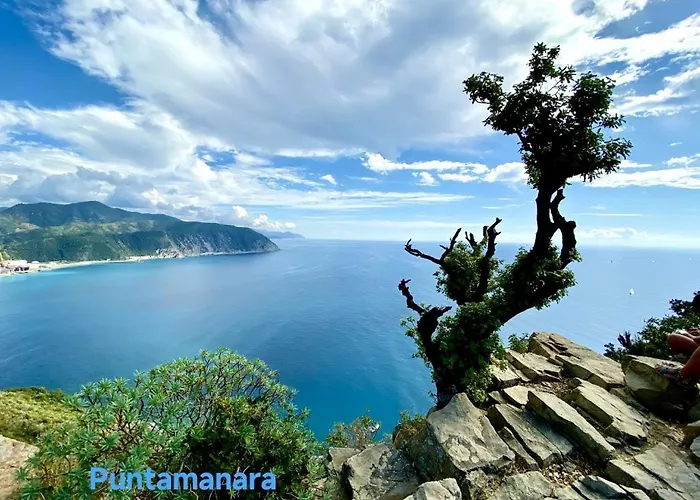 Apartman Attico Con Terrazza Fronte Mare A Cavi Di *